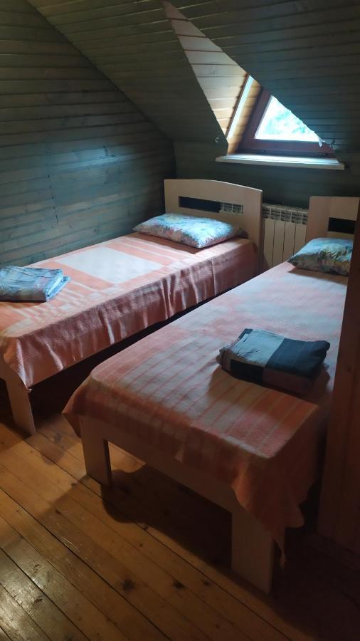 Zolota Rybka Villa Skhidnytsia Buitenkant foto
