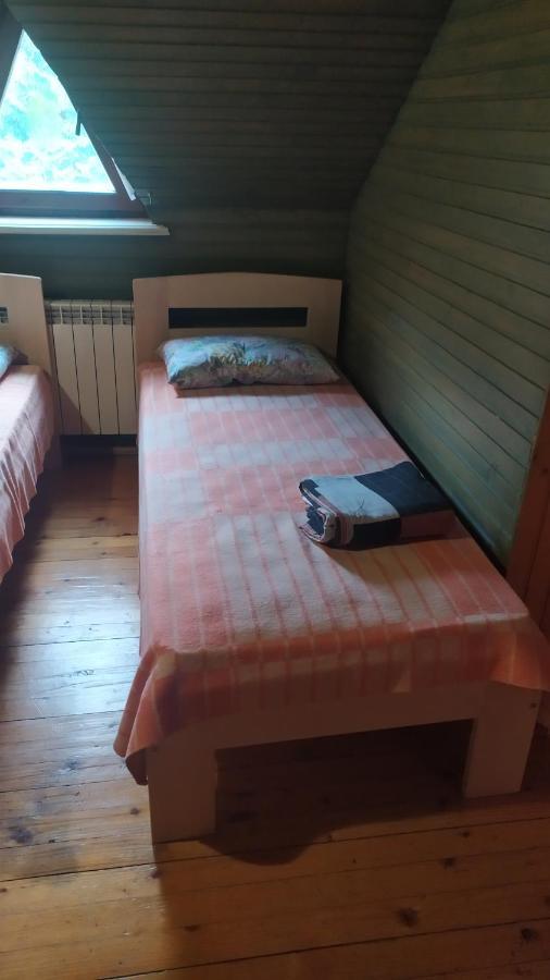Zolota Rybka Villa Skhidnytsia Buitenkant foto